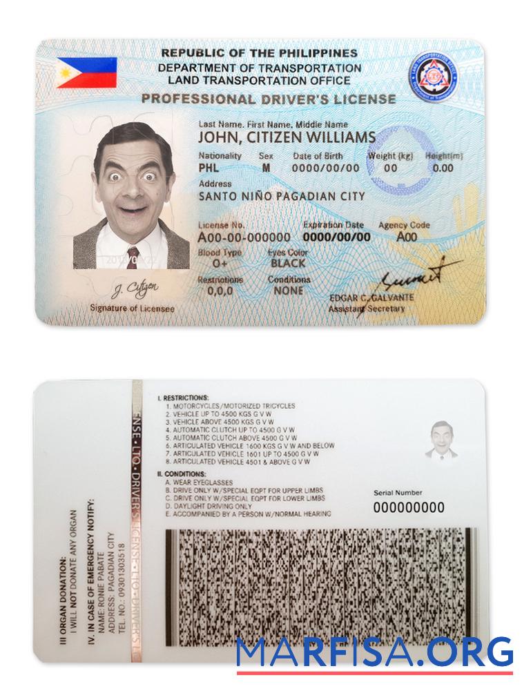 Downloadable Philippines driving license sample
